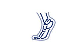 Foot and Ankle