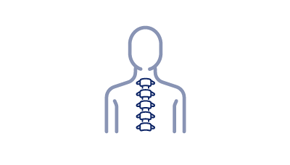 Orthopaedic Spine